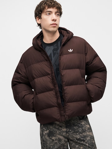 ADIDAS ORIGINALS - Casaco de inverno em castanho