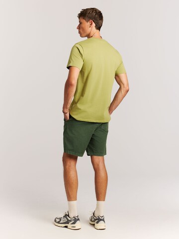 PROTEST Regular Hose 'PRTNivel' in Grün