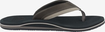 REEF Beach & Pool Shoes 'Cushion Dawn' in Grey