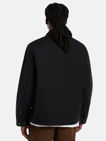 DICKIES Tussenjas in Zwart