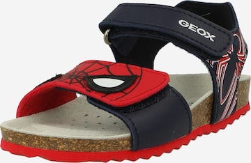 GEOX - Zapatos abiertos en azul: frente