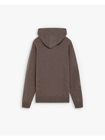 Scalpers Pullover in Braun: Rückseite