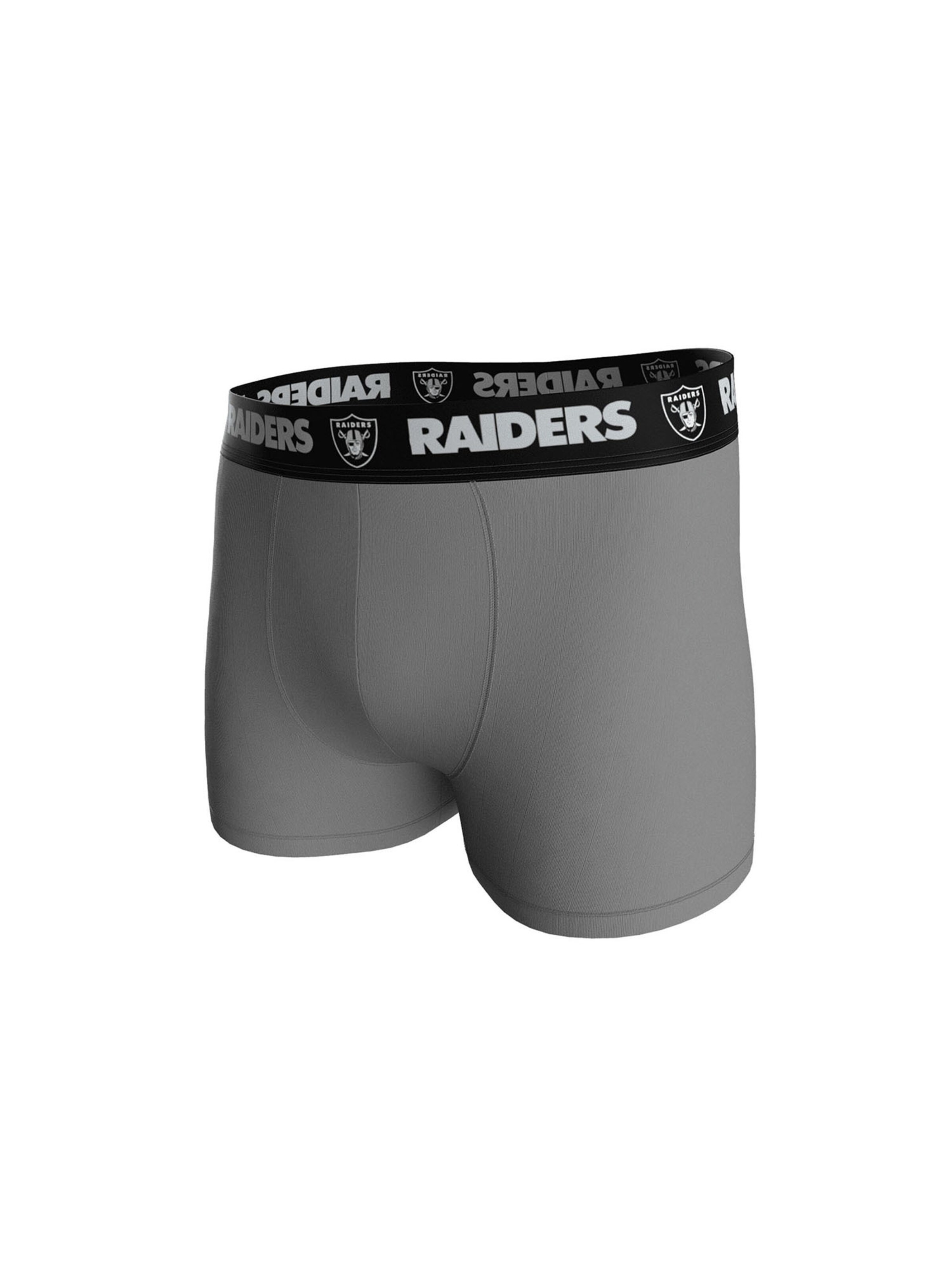 Huddle Boxer shorts 'Las Vegas Raiders' in Grey