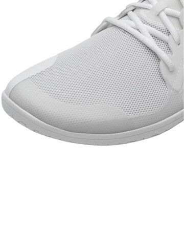 Scarpa bassa 'PRIMUS LITE III' di Vivo Barefoot in blu