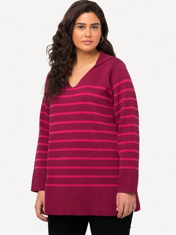 Pullover di Ulla Popken in rosa: frontale