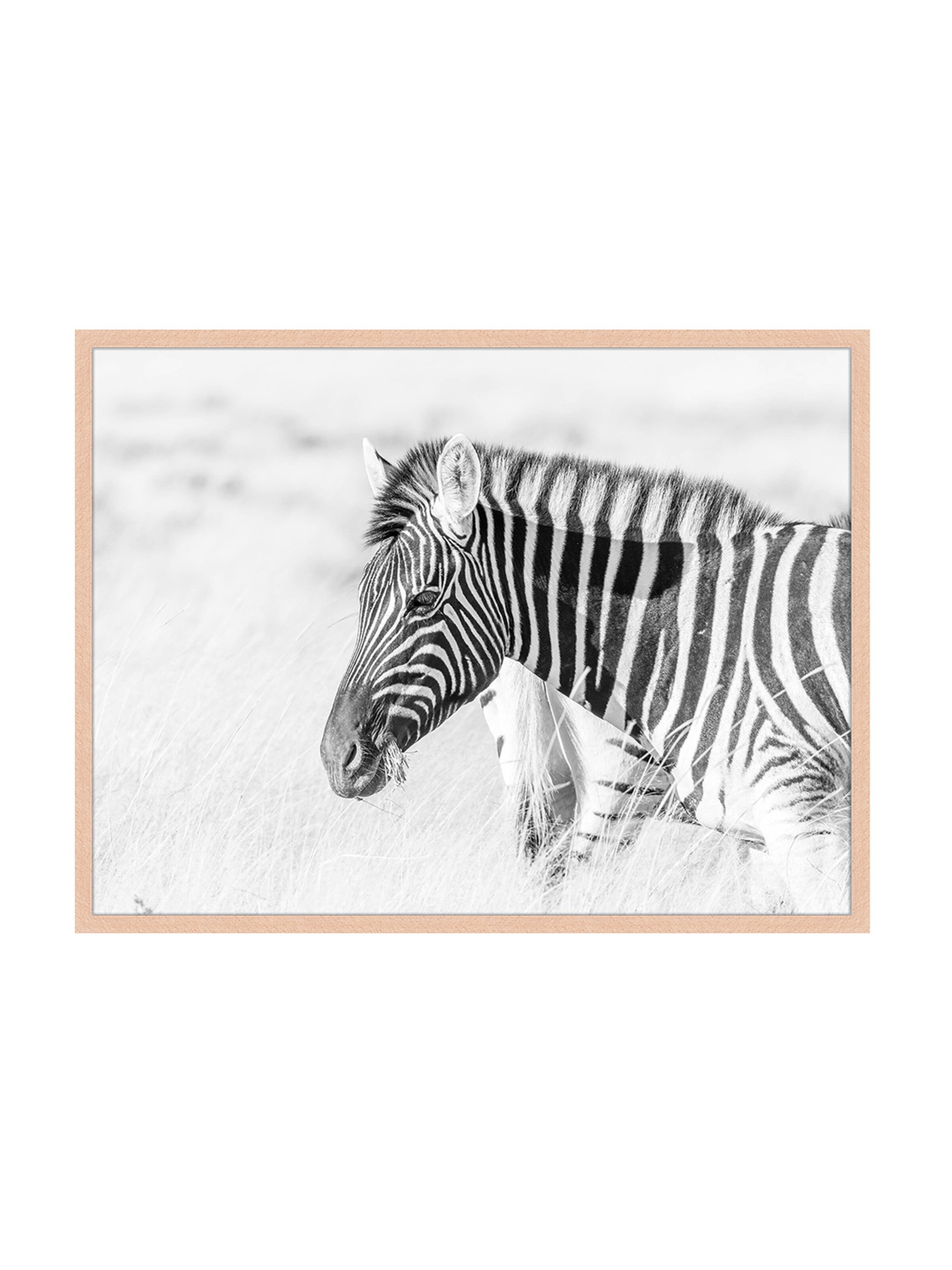 Liv Corday Image 'Zebra' in Brown: front