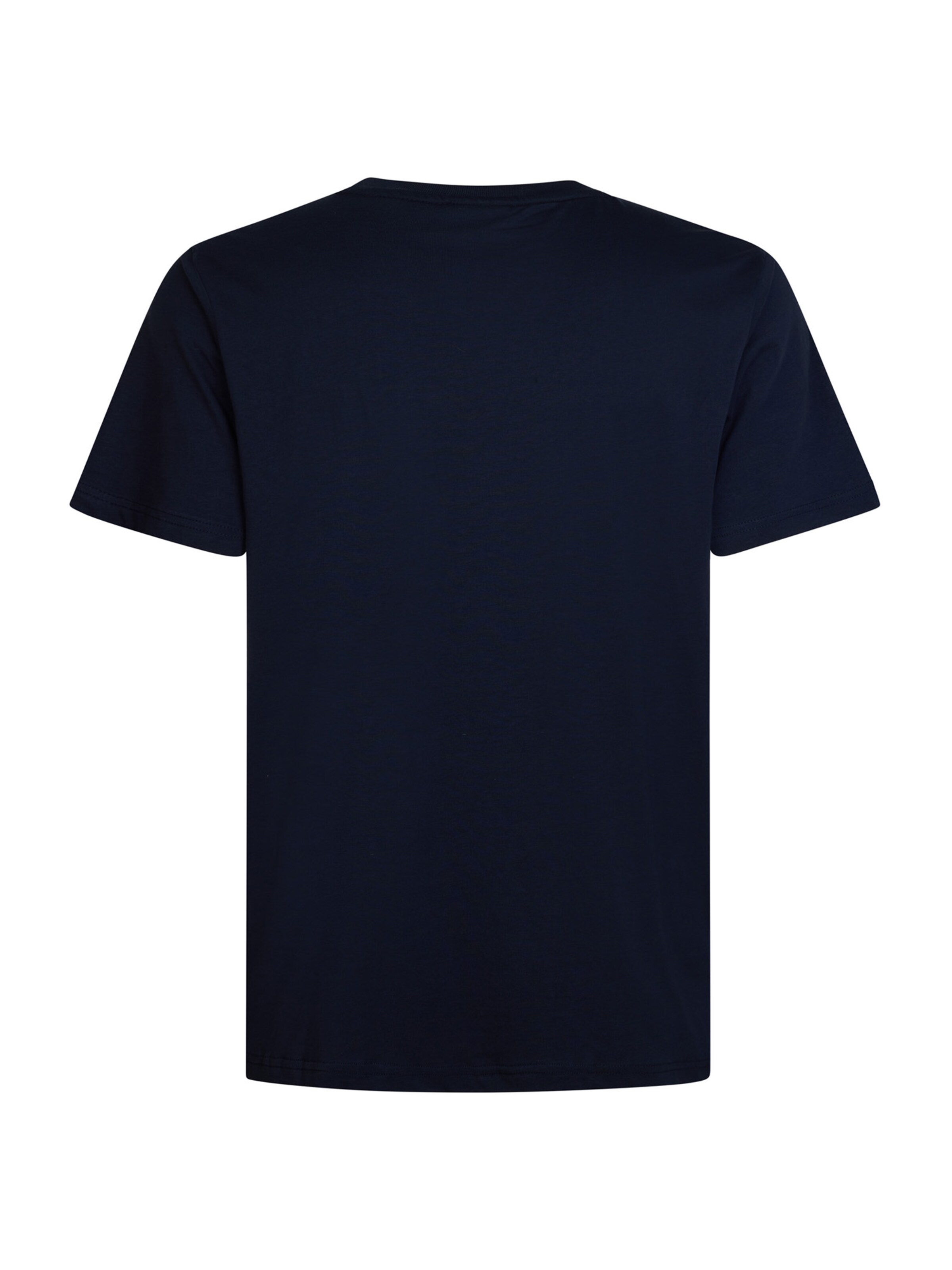 Petrol Industries Shirt in Blue