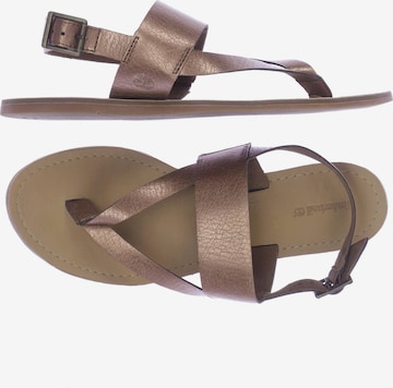 TIMBERLAND Sandals & High-Heeled Sandals in 41 in Brown: front