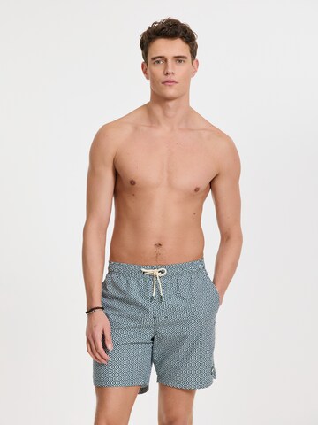 Shorts de bain 'Mike' Shiwi en vert : devant