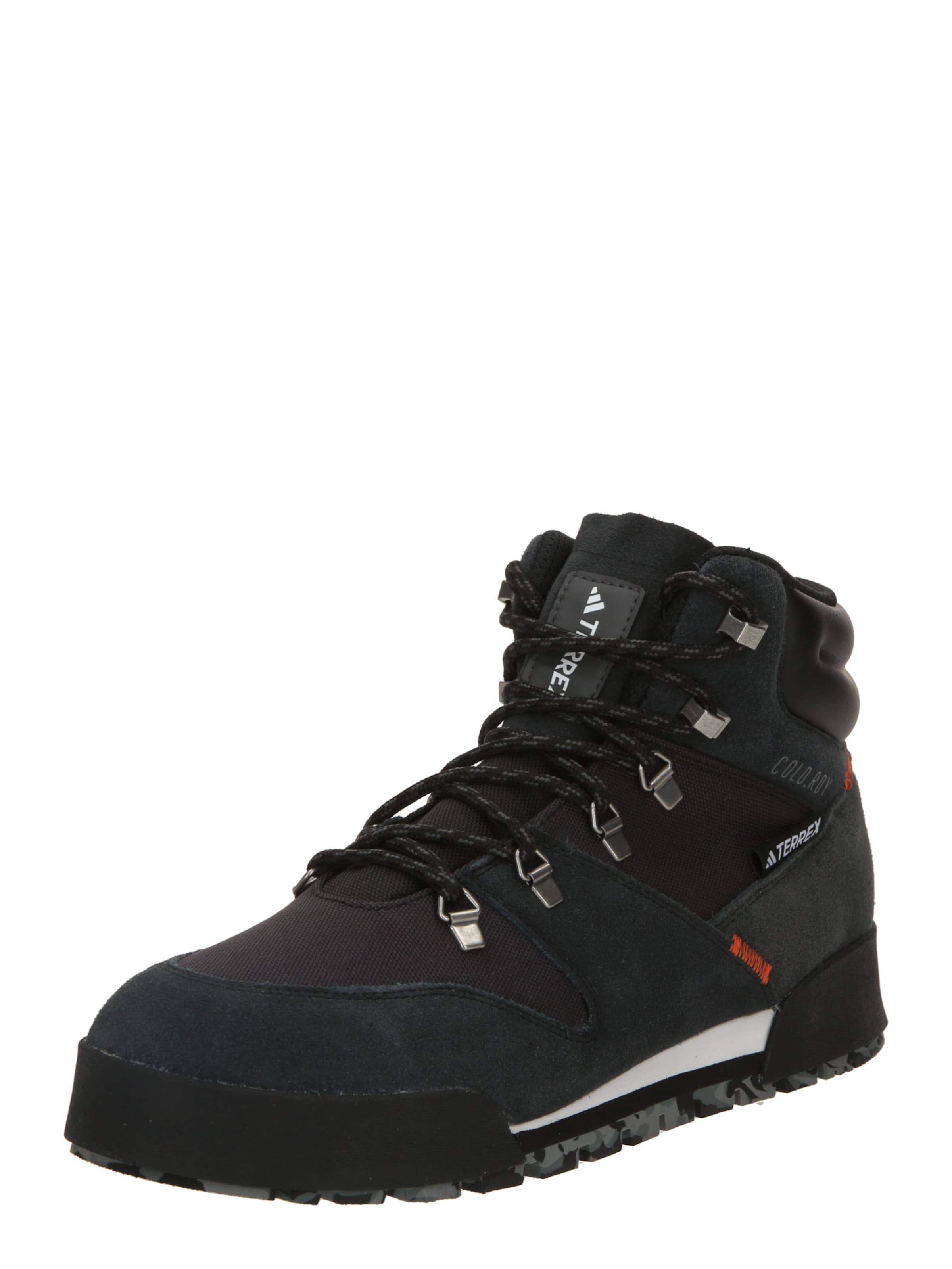 ADIDAS TERREX Boots 'TERREX SNOWPITCH' in Black: front