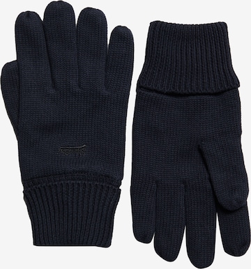 Superdry Full Finger Gloves in Blue: front