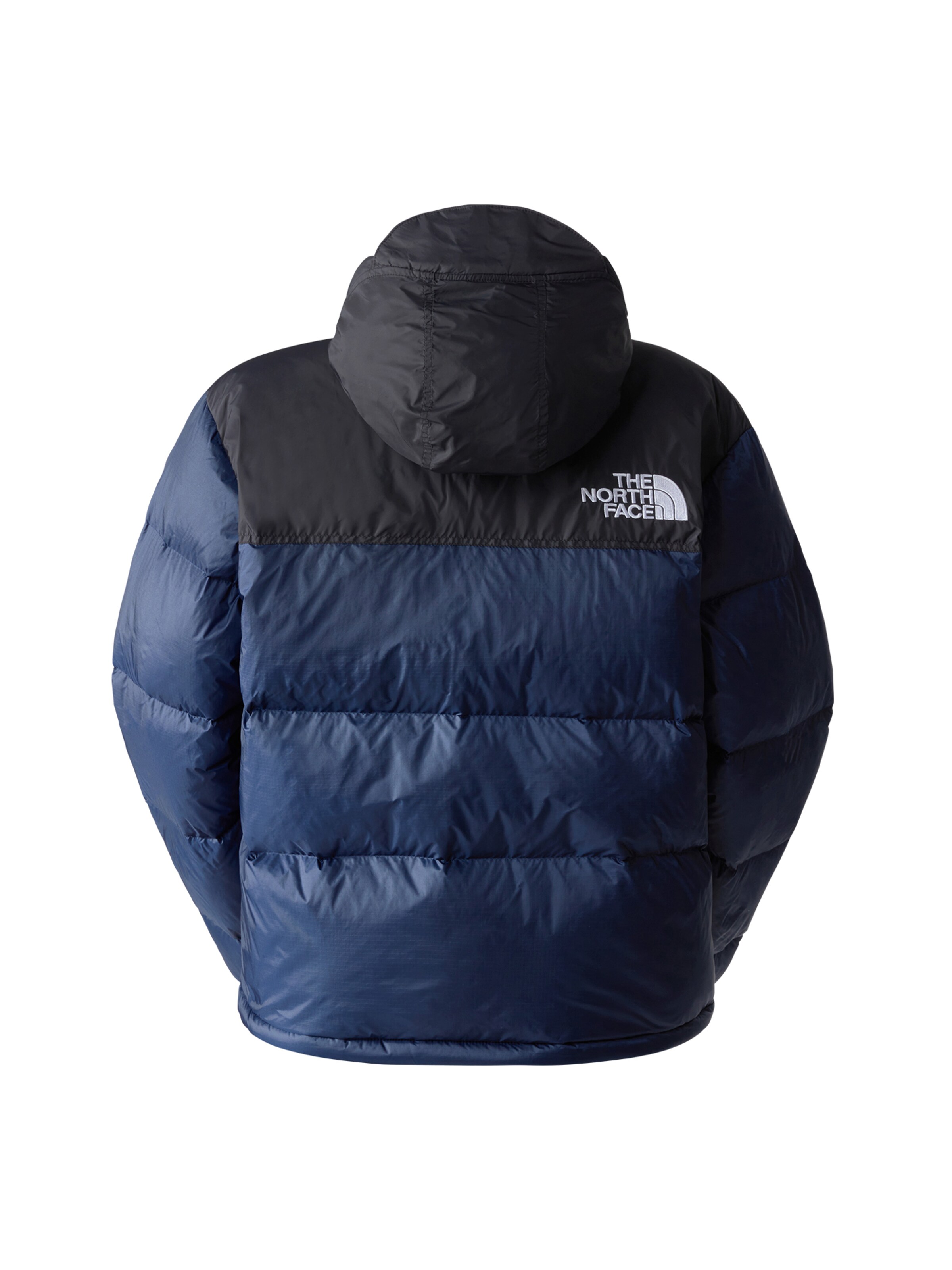 North face veste bleu hotsell