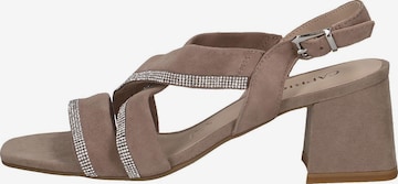 CAPRICE Sandals in Brown: front