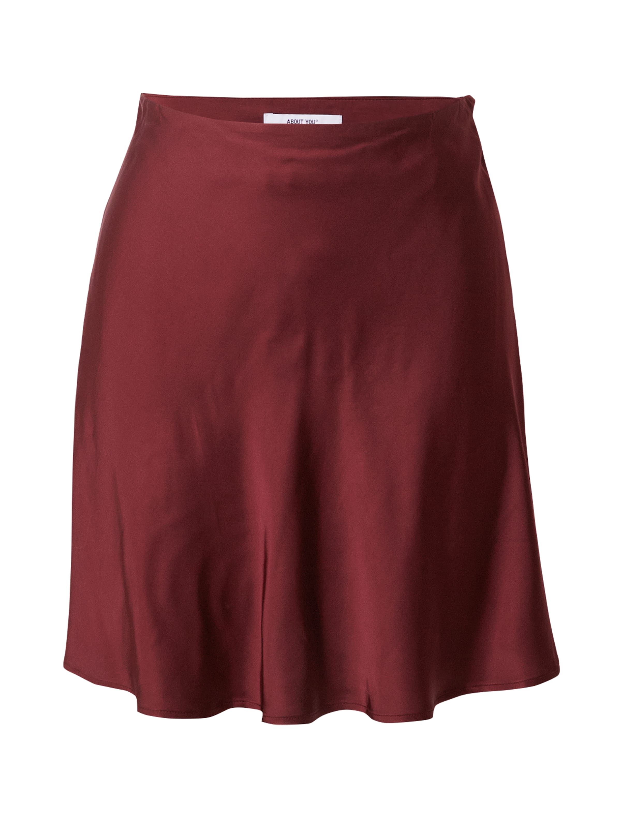 brūns ABOUT YOU Svārki 'Monique': no priekšpuses
