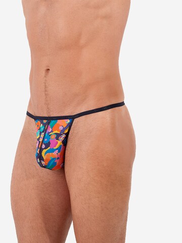 Slip ' Wonka ' HOM en mélange de couleurs