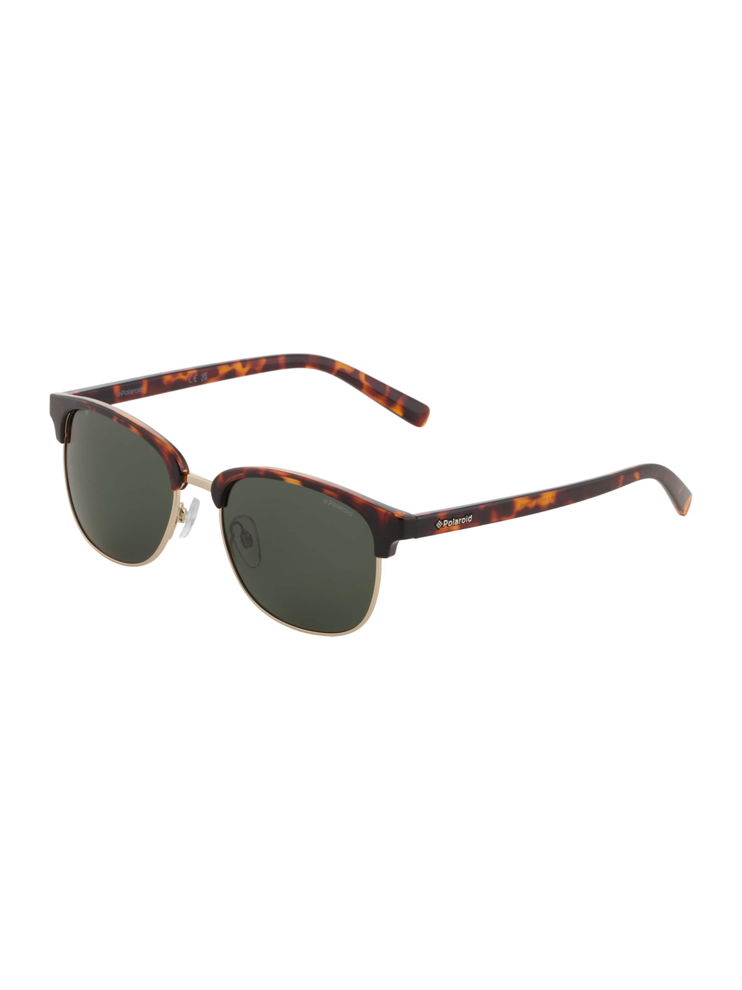Polaroid Sonnenbrille in Braun: Vorderseite