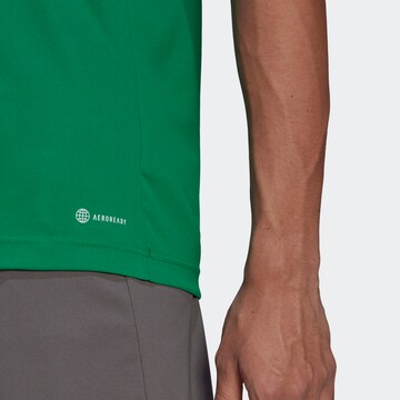 ADIDAS SPORTSWEAR Performance Shirt 'Entrada 22' in Green