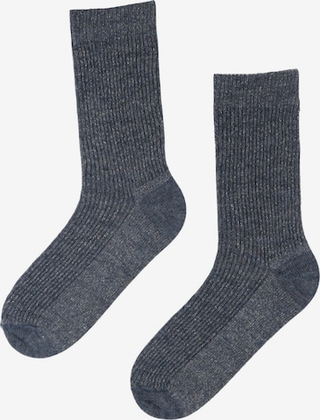 Sokisahtel Sokken 'ALPACA WOOL sparkly socks' in Blauw: voorkant