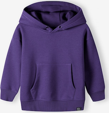 Sweat MINOTI en violet : devant