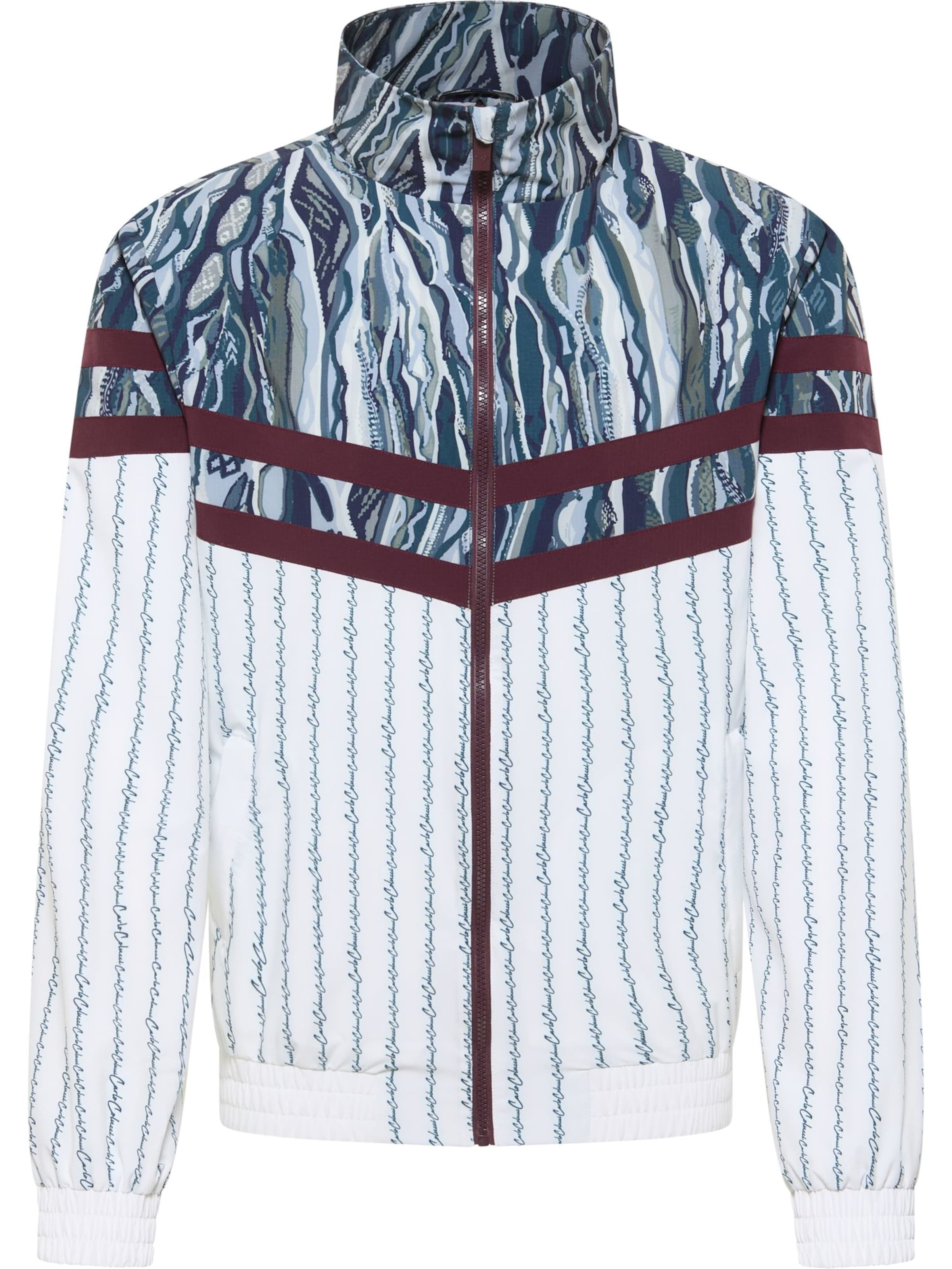 Veste de survêtement '' Fava ' ' Carlo Colucci en blanc : devant