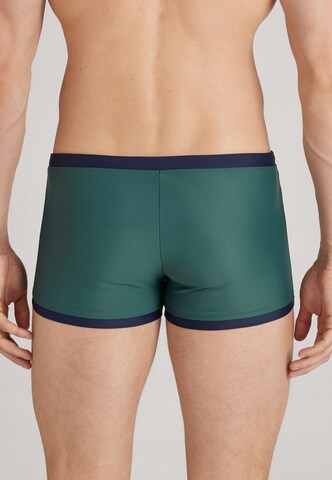 INTIMISSIMI Badehose in Grün