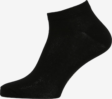 Albert Schäfer Socks in Black: front