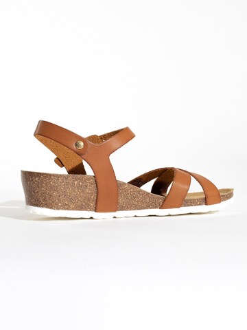 Bayton Sandalen met riem 'Canberra' in Bruin