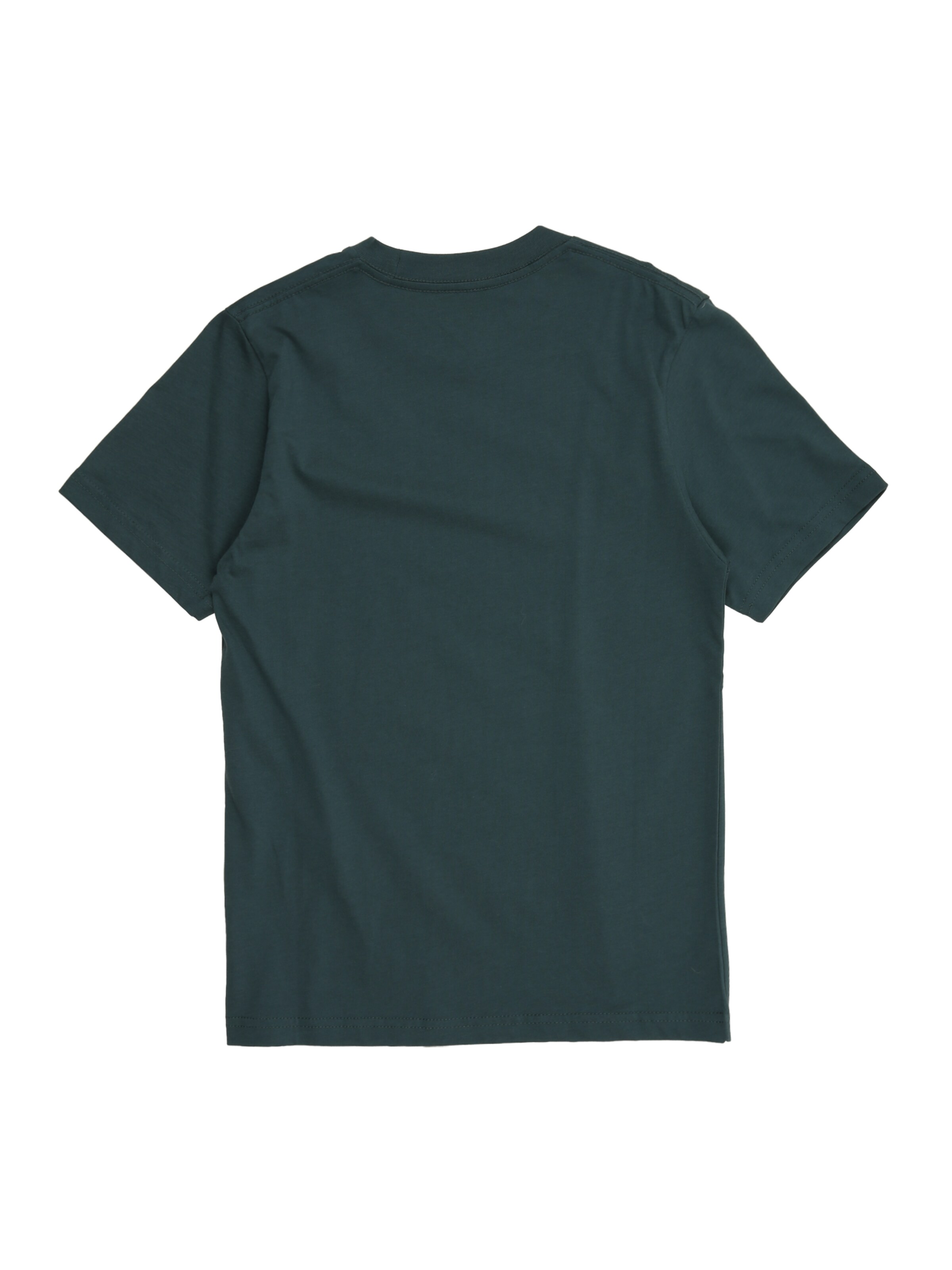 VANS Футболка 'SALTON' в Зеленый