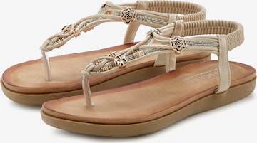 LASCANA Teenslipper in Beige