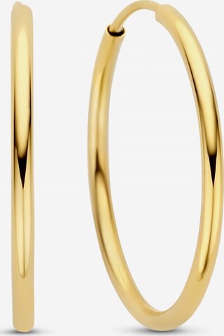 Isabel Bernard Earrings in Gold: front