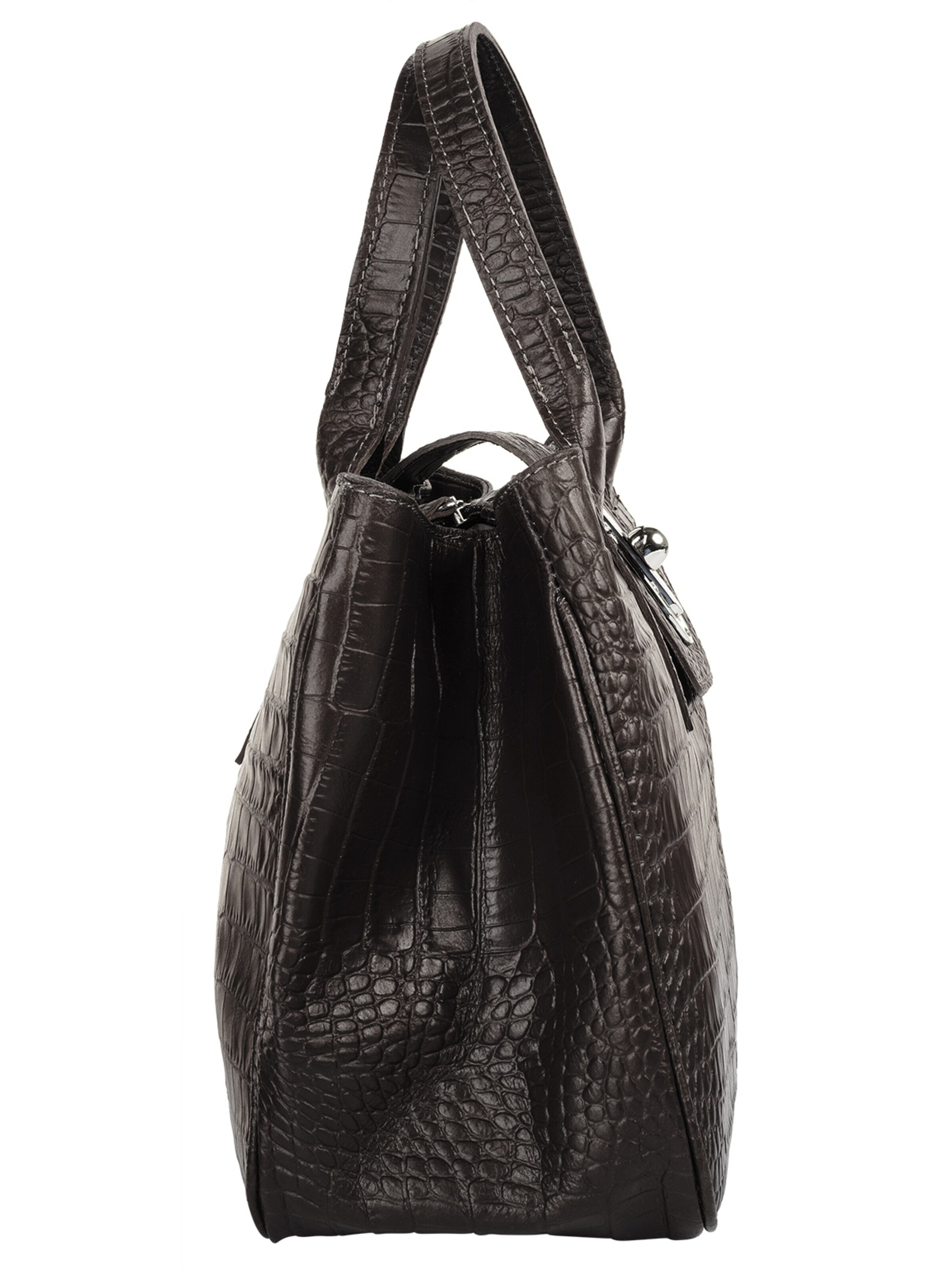 Cluty Handbag in Brown
