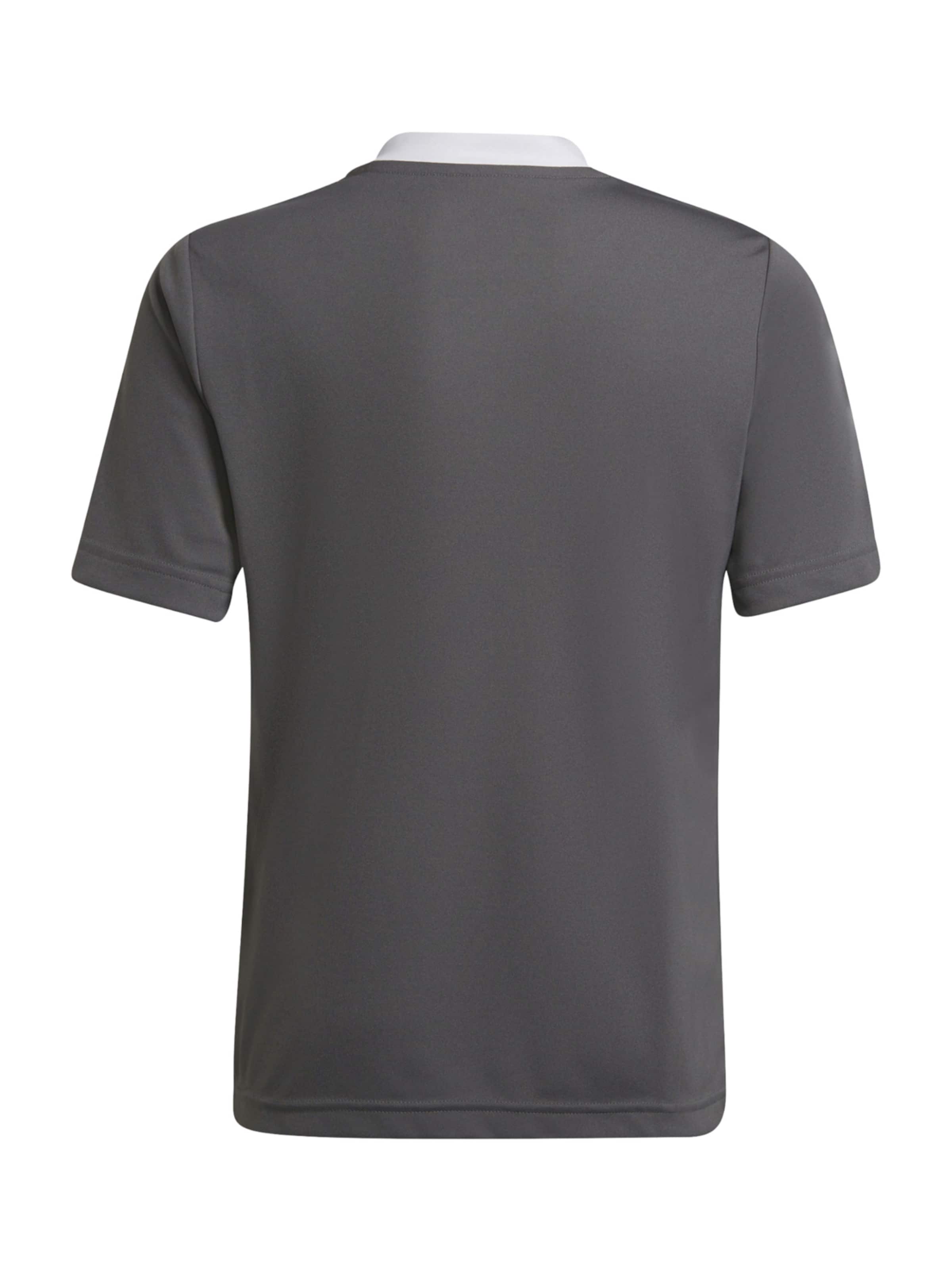 ADIDAS PERFORMANCE Функциональная футболка 'Entrada 22' в Серый