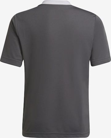 ADIDAS PERFORMANCE Performance Shirt 'Entrada 22' in Grey