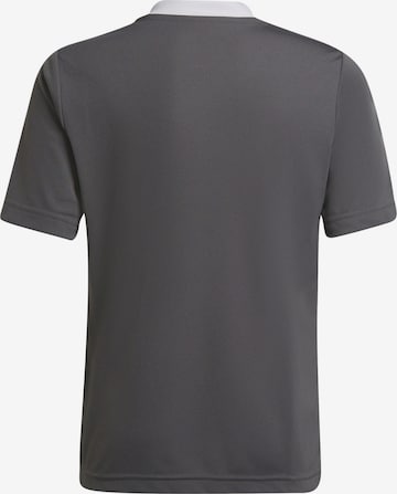 T-Shirt fonctionnel 'Entrada 22' ADIDAS PERFORMANCE en gris