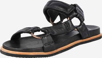 Ca'Shott Sandals in Black: front