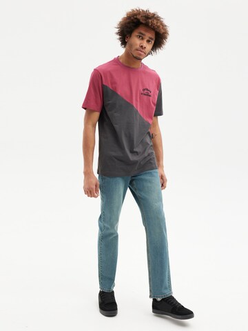 hydroponic - Camiseta 'Hydroponic Cutback Graphic T-Shirt' en Mezcla de colores