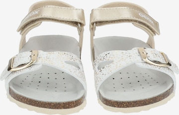 GEOX Sandals in White