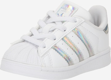 Baskets 'Superstar' ADIDAS ORIGINALS en blanc : devant