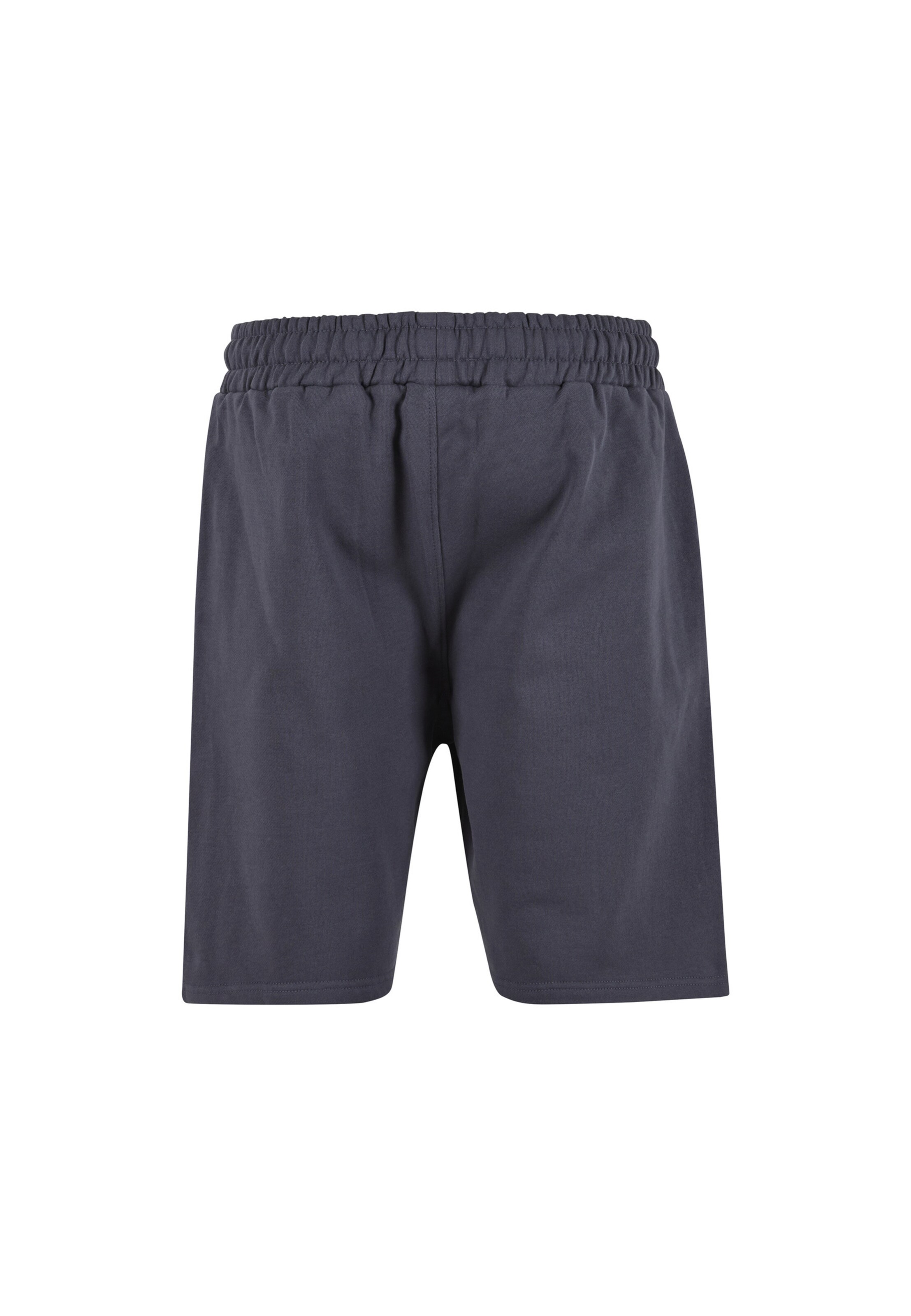 Pegador Regular Shorts in Blau