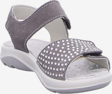 LURCHI Sandals in Grey