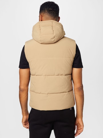 Champion Authentic Athletic Apparel Vest in Brown