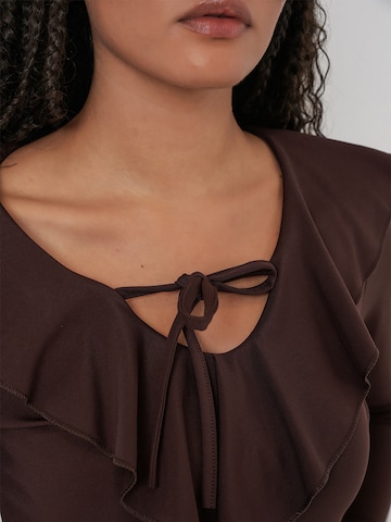 Bigdart Pluus, värv pruun