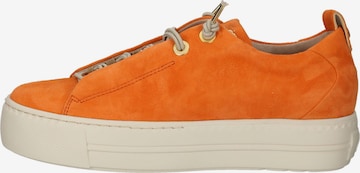 Paul Green Låg sneaker 'Mastercalf' i orange
