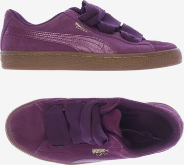 PUMA Sneakers & Trainers in 37 in Purple: front