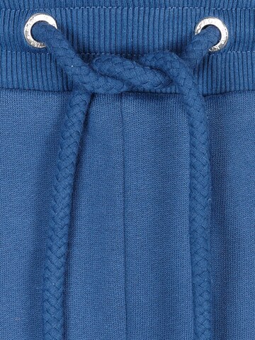 Koyumi Regular Workout Pants 'Panther Loon' in Blue