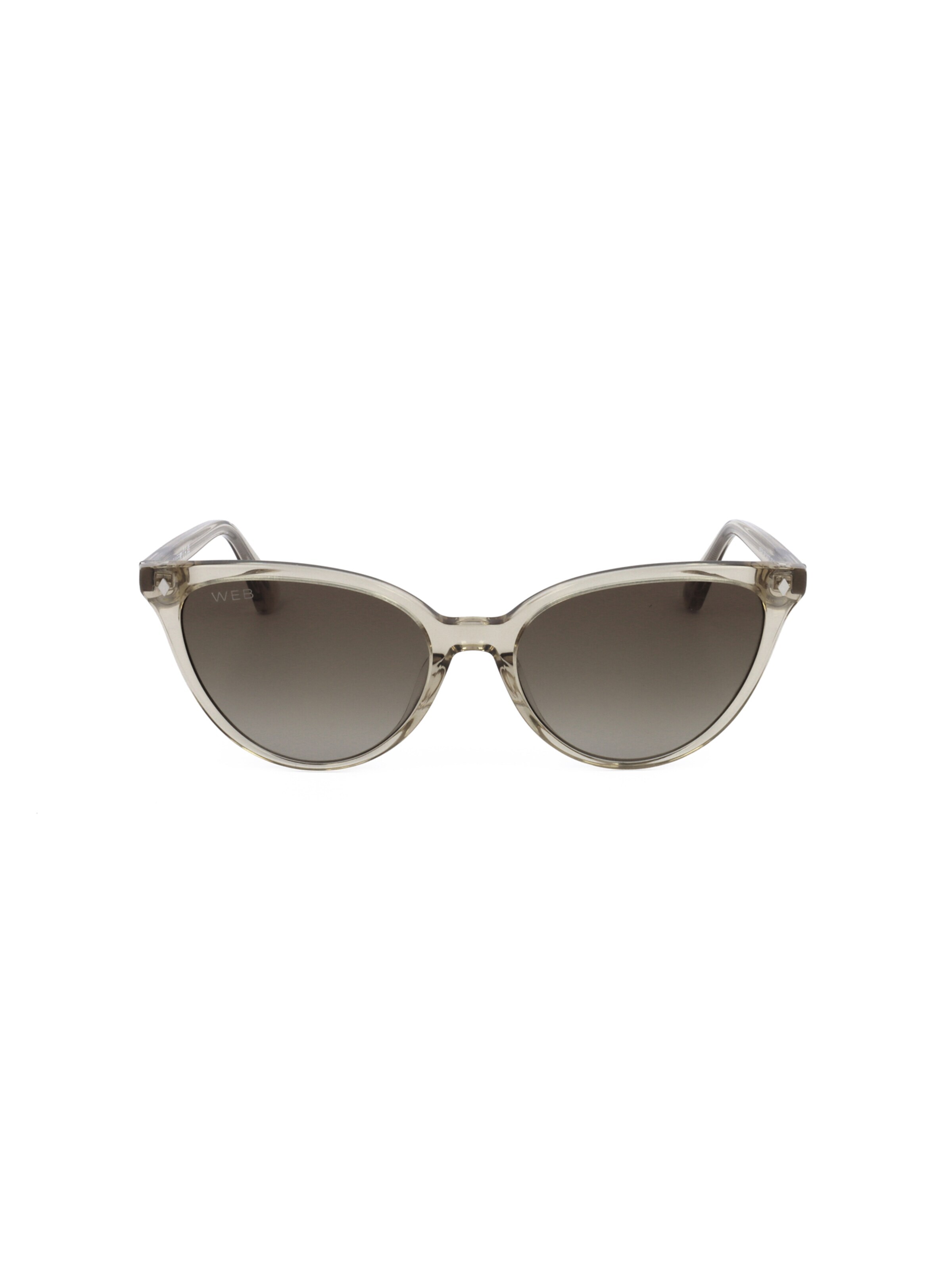 Occhiali da sole 'WE0329' di Web Eyewear in trasparente: frontale