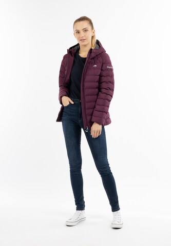 Schmuddelwedda Winter Jacket in Purple