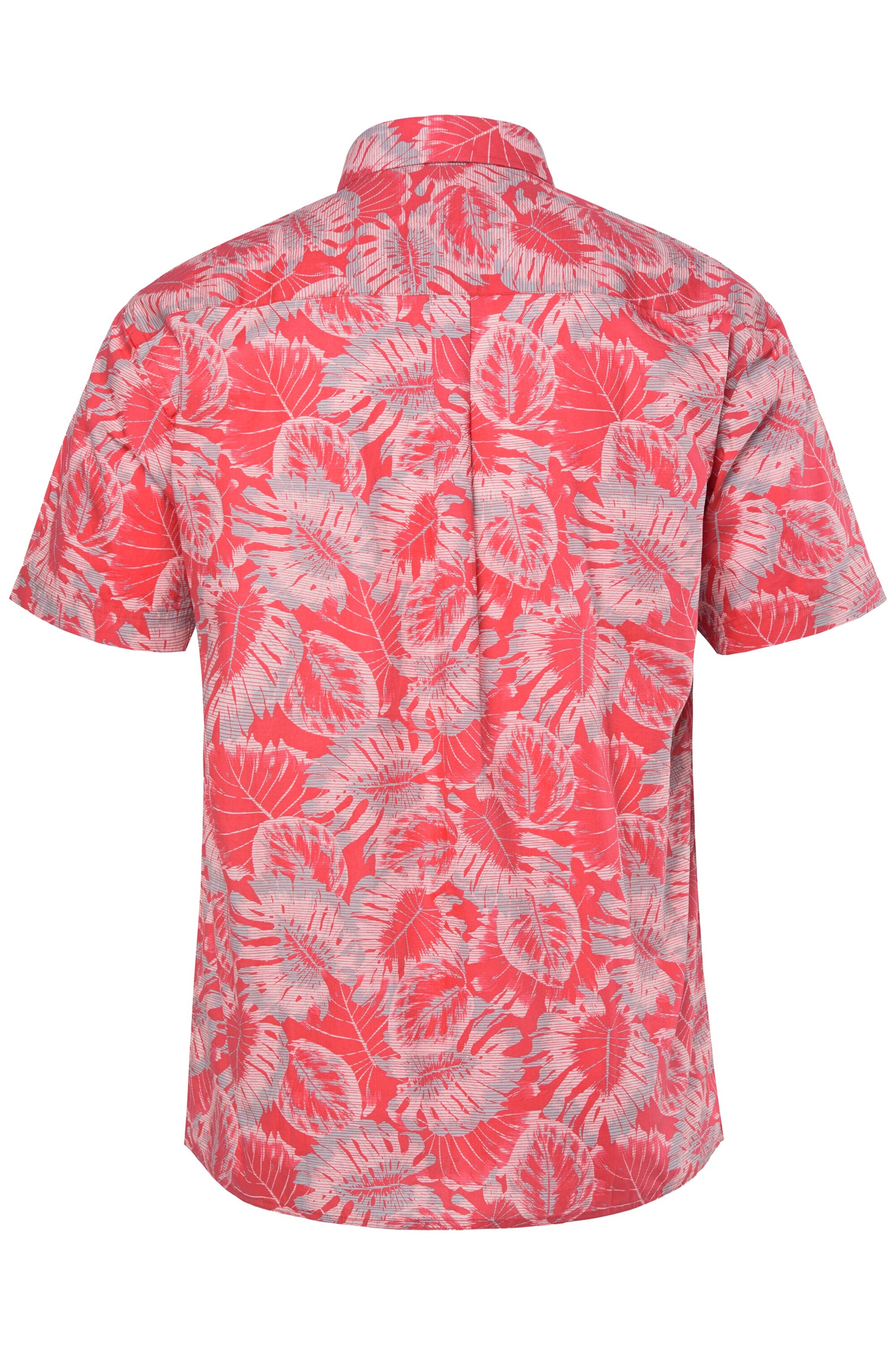 Men Plus Comfort Fit Hemd in Pink