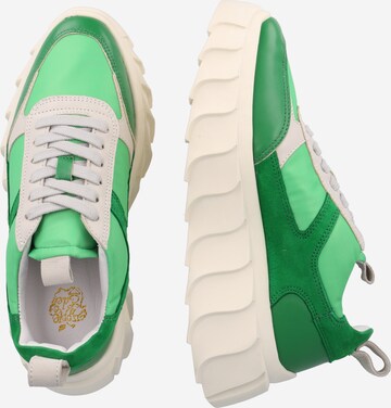 Apple of Eden Rövid szárú sportcipők 'Blair' - zöld