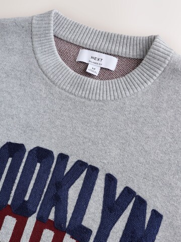 Next Pullover in Grau